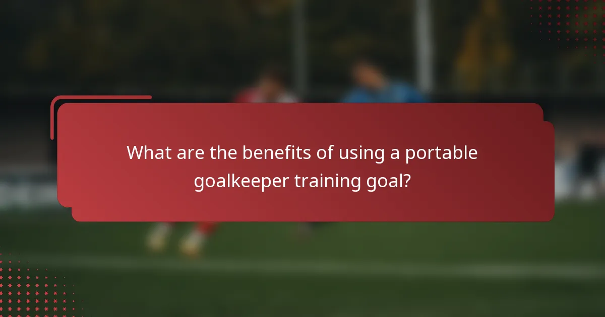 What are the benefits of using a portable goalkeeper training goal?
