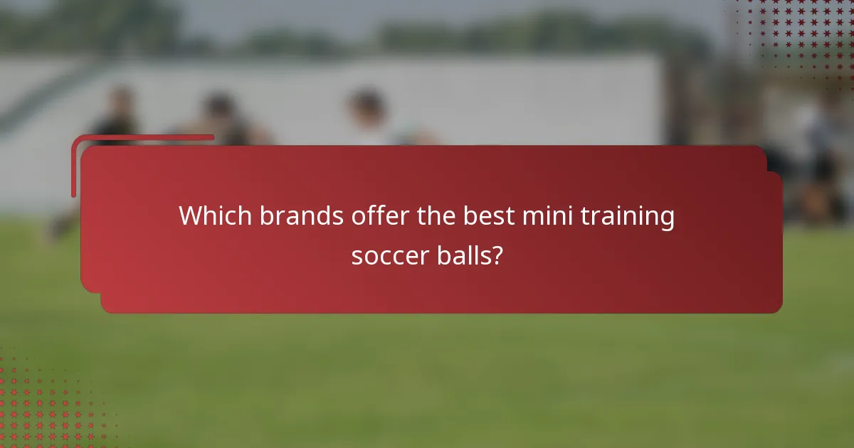 Which brands offer the best mini training soccer balls?